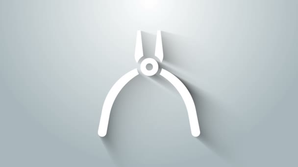 Weißes Zangen-Symbol auf grauem Hintergrund isoliert. Zangen arbeiten in der Industrie mechanische Sanitär-Werkzeug. 4K Video Motion Grafik Animation — Stockvideo