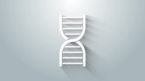 Ícone de símbolo de DNA branco isolado no fundo cinza. Animação gráfica em movimento de vídeo 4K — Vídeo de Stock