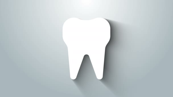 Icono de Diente Blanco aislado sobre fondo gris. Símbolo dental para clínica de odontología o centro médico dentista y paquete de pasta de dientes. Animación gráfica de vídeo 4K — Vídeo de stock