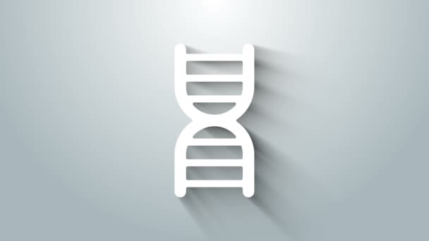 Ikona bílého symbolu DNA izolovaná na šedém pozadí. Grafická animace pohybu videa 4K — Stock video