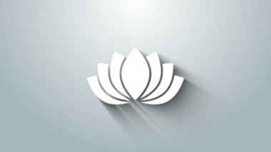 Beyaz Lotus çiçek ikonu gri arkaplanda izole edilmiş. 4K Video hareketli grafik canlandırması
