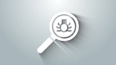 Beyaz Pire arama simgesi gri arkaplanda izole edildi. 4K Video hareketli grafik canlandırması