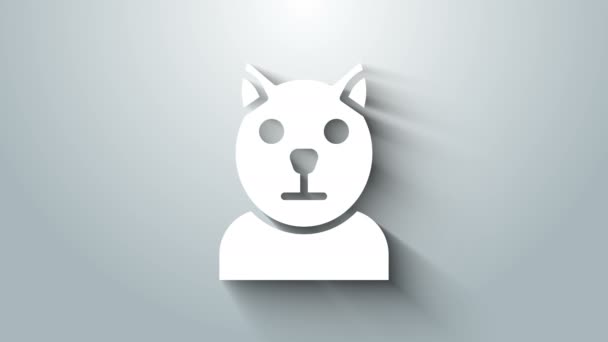 Ikona White Cat izolované na šedém pozadí. Zvířecí symbol. Grafická animace pohybu videa 4K — Stock video