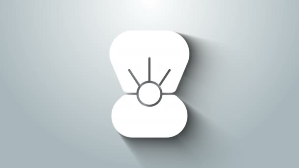 White Natural offene Schale mit Perlen-Symbol isoliert auf grauem Hintergrund. Jakobsmuschel Muschel. Muschelschild. 4K Video Motion Grafik Animation — Stockvideo
