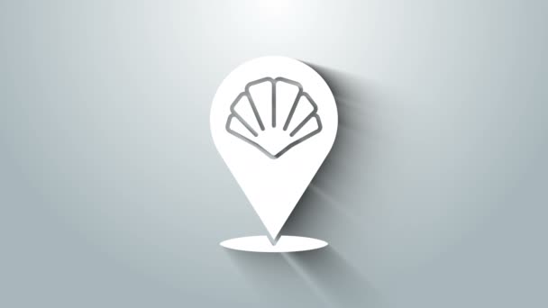 White Scallop zee shell icoon geïsoleerd op grijze achtergrond. Schelpensteken. 4K Video motion grafische animatie — Stockvideo