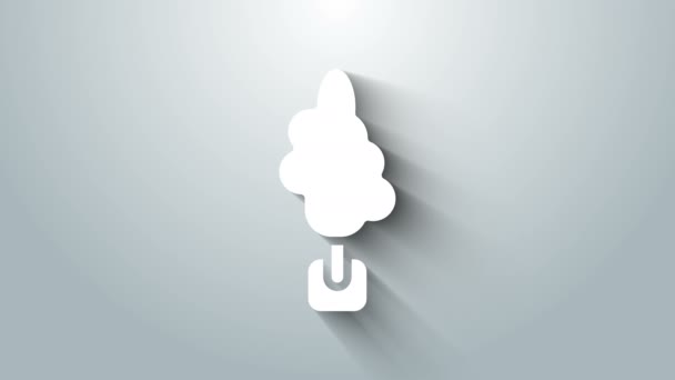 Witte Boom pictogram geïsoleerd op grijze achtergrond. Bossymbool. 4K Video motion grafische animatie — Stockvideo