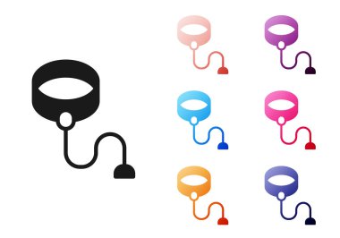 Siyah geri çekilebilir ip tasması ve beyaz arka planda izole edilmiş karabina simgesi. Evcil köpek liderliği. Açık hava yürüyüşü için hayvan aksesuarı. Simgeleri renklendirin. Vektör.