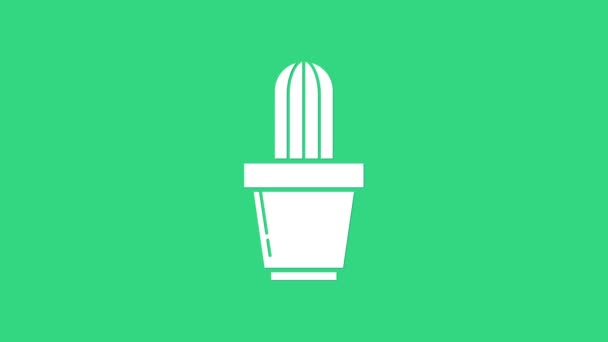 White Cactus and succulent in pot icon isolated on green background. Plant growing in a pot. Potted plant sign. 4K Video motion graphic animation — Stock Video