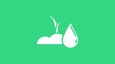 Yeşil arka planda beyaz sulu filiz ikonu izole edildi. Tohum ve tohum. Sulama sembolü. Yaprak doğası. 4K Video hareketli grafik canlandırması