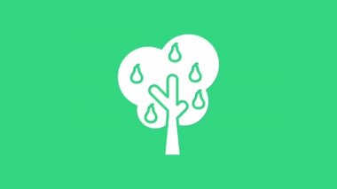 Armut simgesine sahip beyaz ağaç yeşil arka planda izole edilmiş. Tarım fabrikası. Organik tarım ürünü. Bahçe teması. 4K Video hareketli grafik canlandırması