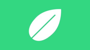 Yeşil arkaplanda beyaz yaprak simgesi izole edildi. Taze doğal ürün sembolü. 4K Video hareketli grafik canlandırması