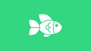 Beyaz Balık simgesi yeşil arkaplanda izole edildi. 4K Video hareketli grafik canlandırması