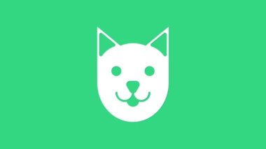 Beyaz Kedi simgesi yeşil arkaplanda izole edildi. 4K Video hareketli grafik canlandırması