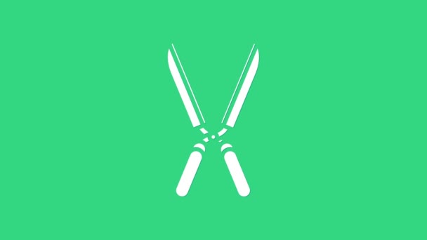 Білий Садівництво ножиці ручної роботи для обрізки значка ізольовані на зеленому фоні. Обрізка ножиць дерев'яними ручками. 4K Відео рух графічна анімація — стокове відео