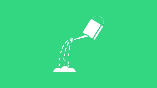 Witte gieter met waterpictogram geïsoleerd op groene achtergrond. Een spruit water geven. Irrigatie symbool. 4K Video motion grafische animatie — Stockvideo