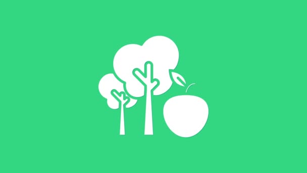 Arbre blanc avec icône pomme isolé sur fond vert. Plante agricole. Produit agricole biologique. Thème jardinage. Animation graphique de mouvement vidéo 4K — Video