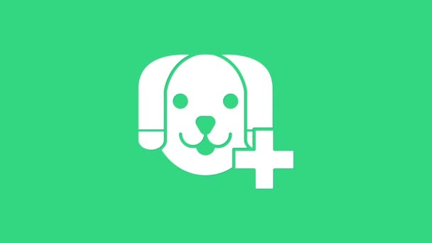 Vit veterinär klinik symbol ikon isolerad på grön bakgrund. Korsa med hundveterinärvård. Första hjälpen-skylten. 4K Video motion grafisk animation — Stockvideo