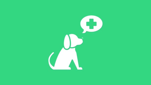 Ícone de símbolo de clínica veterinária branco isolado no fundo verde. Cruze com cão cuidados veterinários. Sinal de primeiros socorros. Animação gráfica em movimento de vídeo 4K — Vídeo de Stock