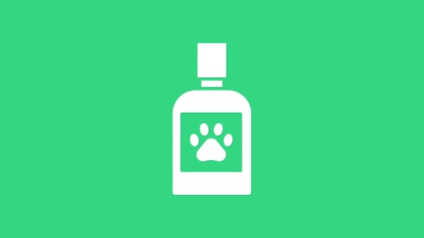 Biały Pies ikona butelki leku izolowane na zielonym tle. Pojemnik z tabletkami. Lek na receptę dla zwierząt. 4K Animacja graficzna ruchu wideo — Wideo stockowe