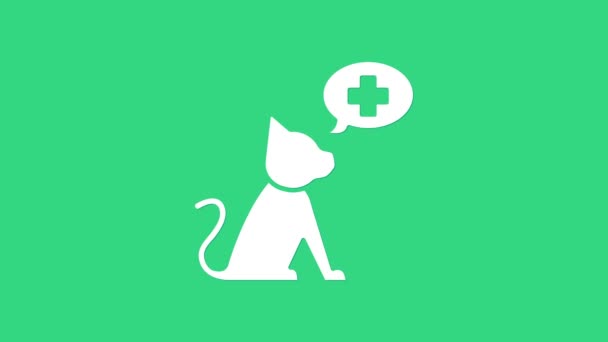 White Veterinary clinic symbol icon isolated on green background. Cross with cat veterinary care. Pet First Aid sign. 4K Video motion graphic animation — Stock Video