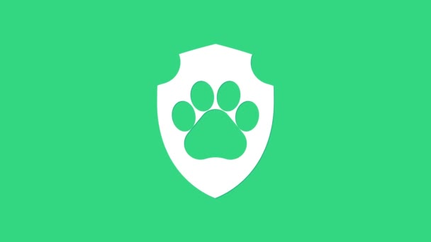 Белый Анимальный значок медицинского страхования выделен на зеленом фоне. Значок защиты животных. Отпечаток лапы собаки или кошки. Видеографическая анимация 4K — стоковое видео