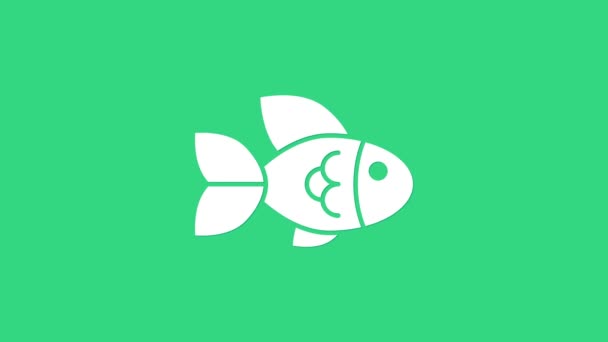 White Fish icon isolated on green background. 4K Video motion graphic animation — Stock Video