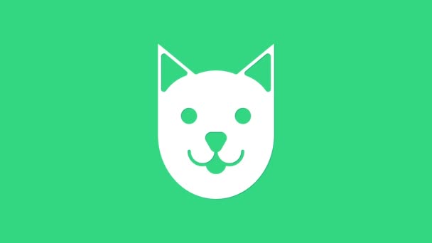 Icono Gato blanco aislado sobre fondo verde. Animación gráfica de vídeo 4K — Vídeos de Stock