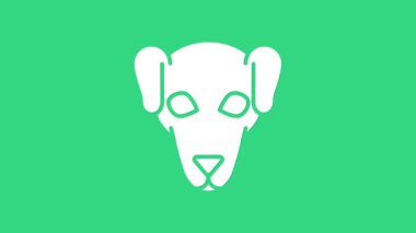 Yeşil arka planda beyaz av köpeği simgesi izole edildi. 4K Video hareketli grafik canlandırması