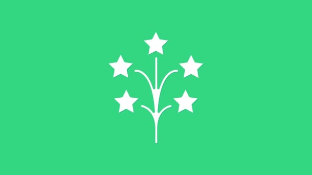Wit Vuurwerk pictogram geïsoleerd op groene achtergrond. Het idee van een leuk feestje. Explosief pyrotechnisch symbool. 4K Video motion grafische animatie — Stockvideo