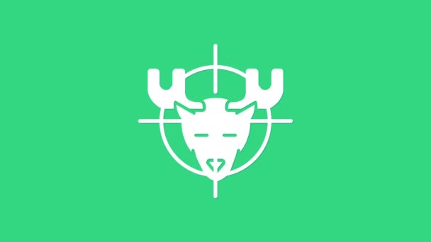 Witte jacht op eland met dradenkruis pictogram geïsoleerd op groene achtergrond. Jachtclublogo met eland en doelwit. Rifle lens gericht op een eland. 4K Video motion grafische animatie — Stockvideo