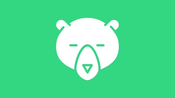 白熊的头像被绿色背景隔离。4K视频运动图形动画 — 图库视频影像