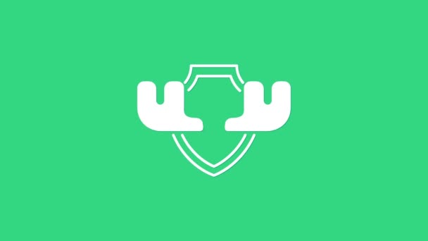 Vita älghorn på sköld ikon isolerad på grön bakgrund. Jakttrofé på väggen. 4K Video motion grafisk animation — Stockvideo