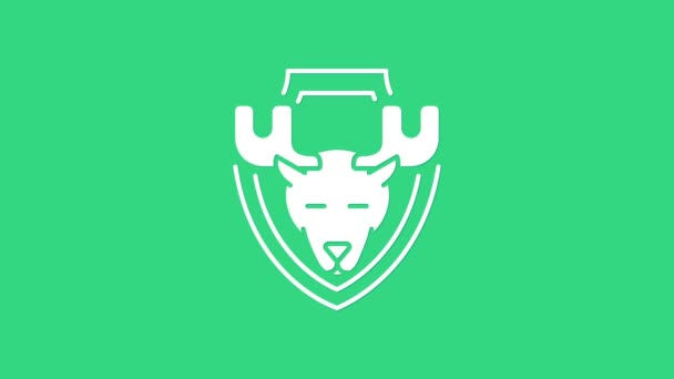 Cabeza de alce blanco en el icono del escudo aislado sobre fondo verde. Trofeo de caza en la pared. Animación gráfica de vídeo 4K — Vídeos de Stock