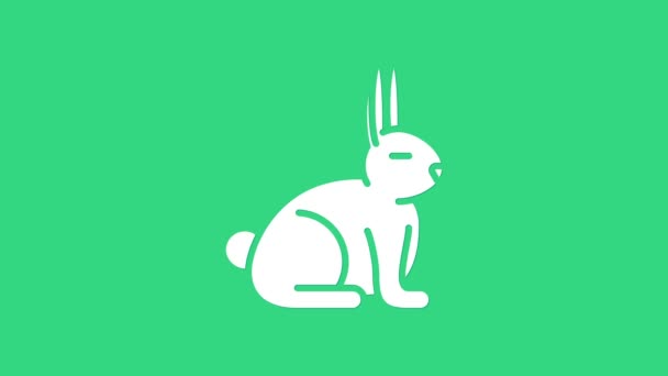 White Rabbit Symbol isoliert auf grünem Hintergrund. 4K Video Motion Grafik Animation