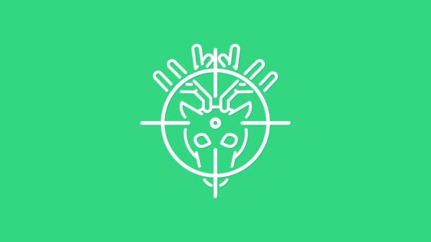Caza blanca en ciervos con icono de punto de mira aislado sobre fondo verde. Logotipo del club de caza con ciervos y objetivo. Lente de rifle apuntando a un ciervo. Animación gráfica de vídeo 4K — Vídeos de Stock