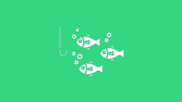 Weißer Angelhaken unter Wasser mit Fischsymbol auf grünem Hintergrund. Angeln. 4K Video Motion Grafik Animation — Stockvideo