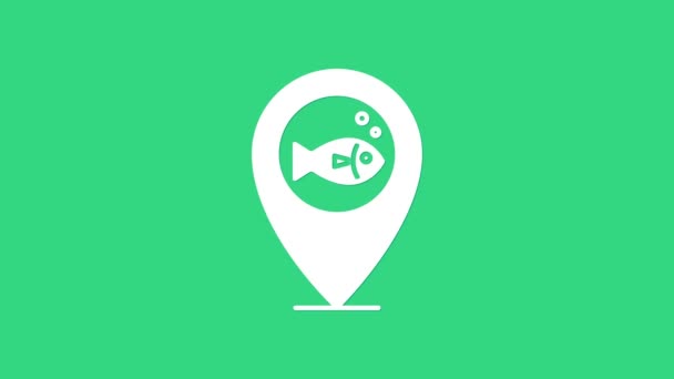 Beyaz Konum balıkçılık simgesi yeşil arka planda izole edildi. Balıkçılık yeri. 4K Video hareketli grafik canlandırması — Stok video