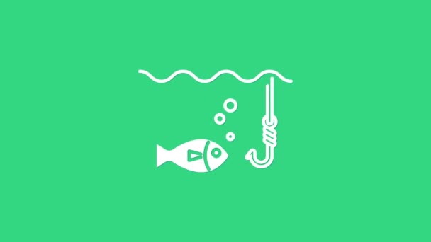 녹색 배경에는 물고기 모양의 아이콘이 고립되어 있는 흰 낚시 바늘이 물 속에 있습니다. 낚시 도구. 4K 비디오 모션 그래픽 애니메이션 — 비디오