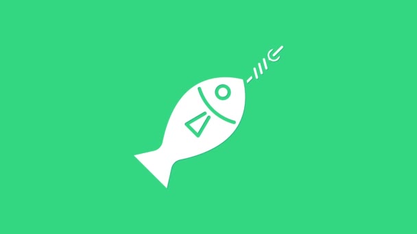 Pescado blanco en icono de gancho aislado sobre fondo verde. Animación gráfica de vídeo 4K — Vídeos de Stock