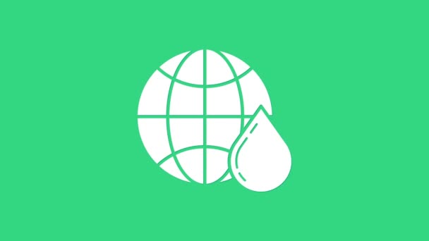 Карта білого медоносця у світі іконка ізольована на зеленому тлі. Всесвітній день бджіл. Концепція екологічної події. 4K Відео рух графічна анімація — стокове відео