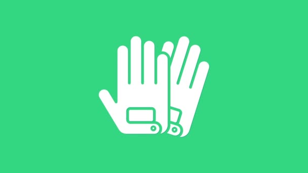 Weiße Handschuhe Symbol isoliert auf grünem Hintergrund. Extremsport. Sportgeräte. 4K Video Motion Grafik Animation — Stockvideo