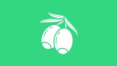 Yeşil arkaplanda beyaz zeytin dalı simgesi izole edildi. 4K Video hareketli grafik canlandırması