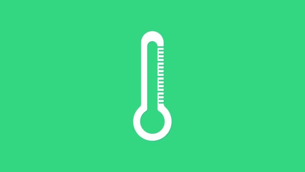 White Thermometer icon isolated on green background. 4K Video motion graphic animation — Stock Video