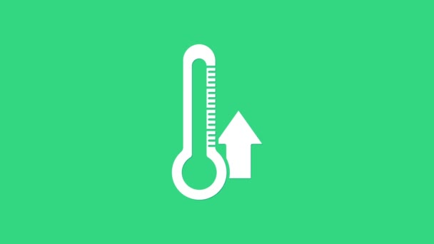Icono del termómetro blanco aislado sobre fondo verde. Animación gráfica de vídeo 4K — Vídeos de Stock
