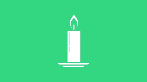 Белая горящая свеча в иконке подсвечника выделена на зеленом фоне. Старомодная зажженная свеча. Цилиндрическая свеча с горящим пламенем. Видеографическая анимация 4K — стоковое видео