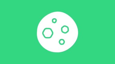 Yeşil arka planda izole edilmiş çikolatalı kurabiye ya da bisküvi. 4K Video hareketli grafik canlandırması