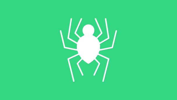 Beyaz Örümcek simgesi yeşil arkaplanda izole edildi. Mutlu Cadılar Bayramı Partisi. 4K Video hareketli grafik canlandırması — Stok video