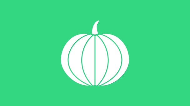 Witte pompoen pictogram geïsoleerd op groene achtergrond. Gelukkig Halloween feest. 4K Video motion grafische animatie — Stockvideo