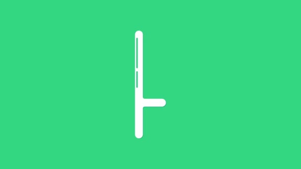 White Police rubber baton icon isolated on green background. Rubber truncheon. Police Bat. Police equipment. 4K Video motion graphic animation — Stock Video