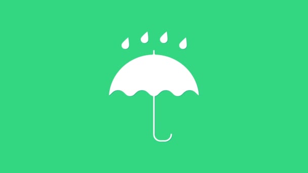 Parapluie blanc et gouttes de pluie icône isolée sur fond vert. Icône étanche. Protection, sûreté, concept de sécurité. Symbole imperméable. Animation graphique de mouvement vidéo 4K — Video